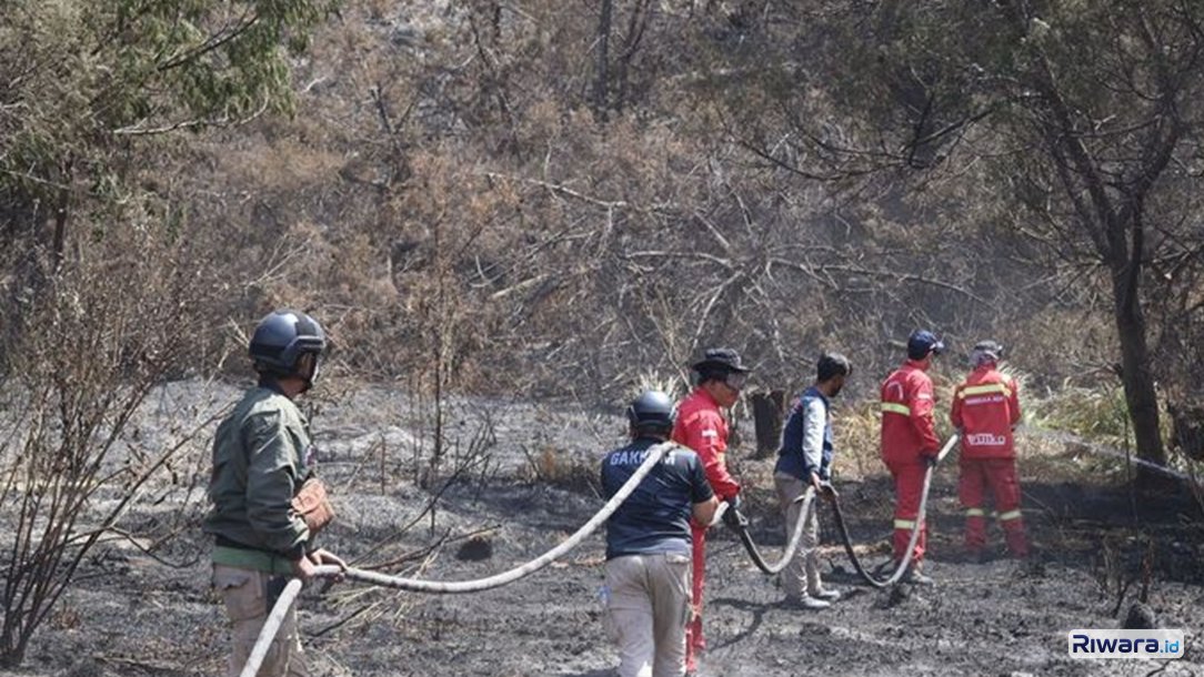 Petugas gabungan melakukan pendinginan dan penyisiran bara api tersembunyi di kawasan Bromo
